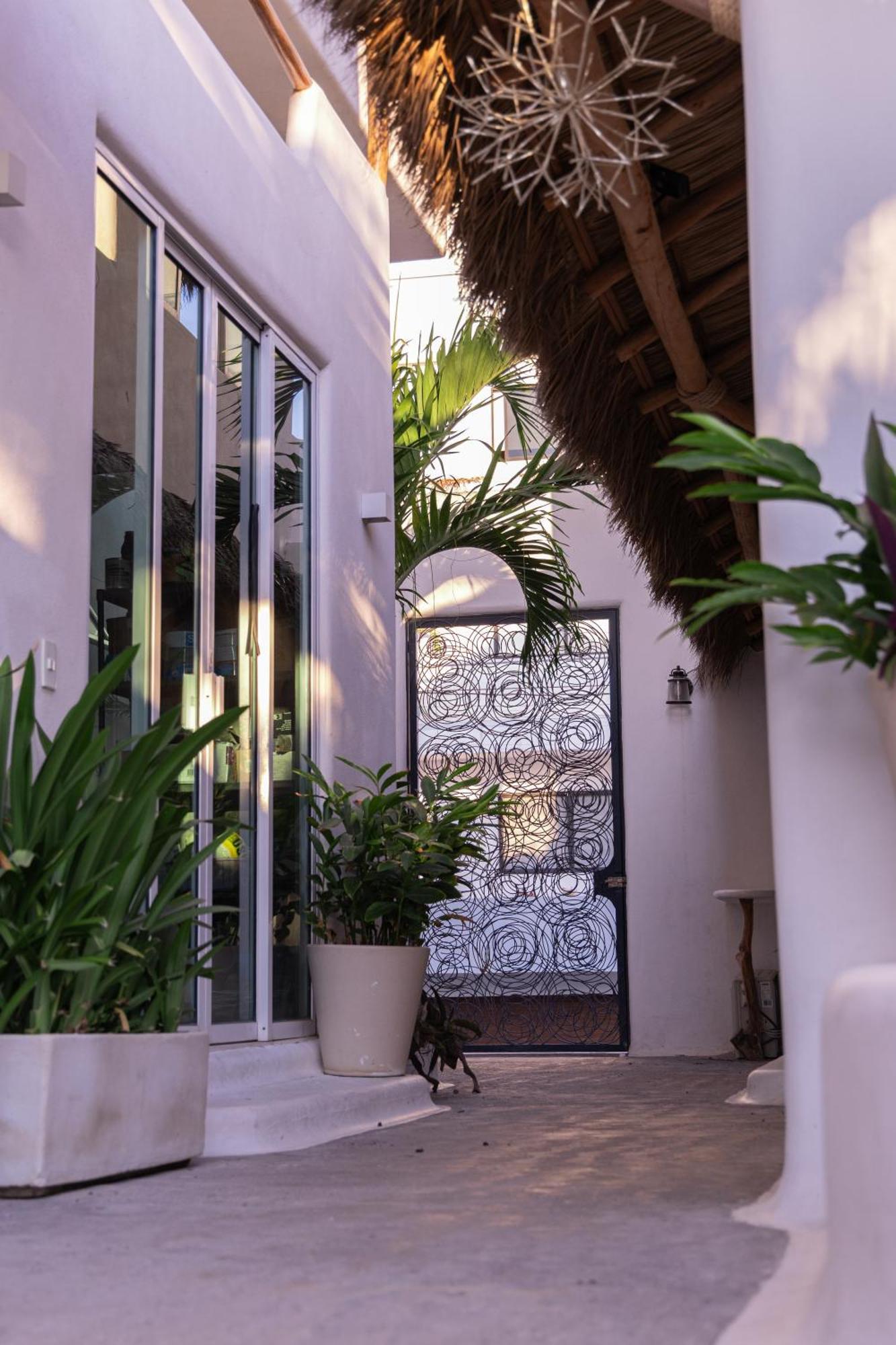 El Sho - Hotel Organico Bucerias Ngoại thất bức ảnh