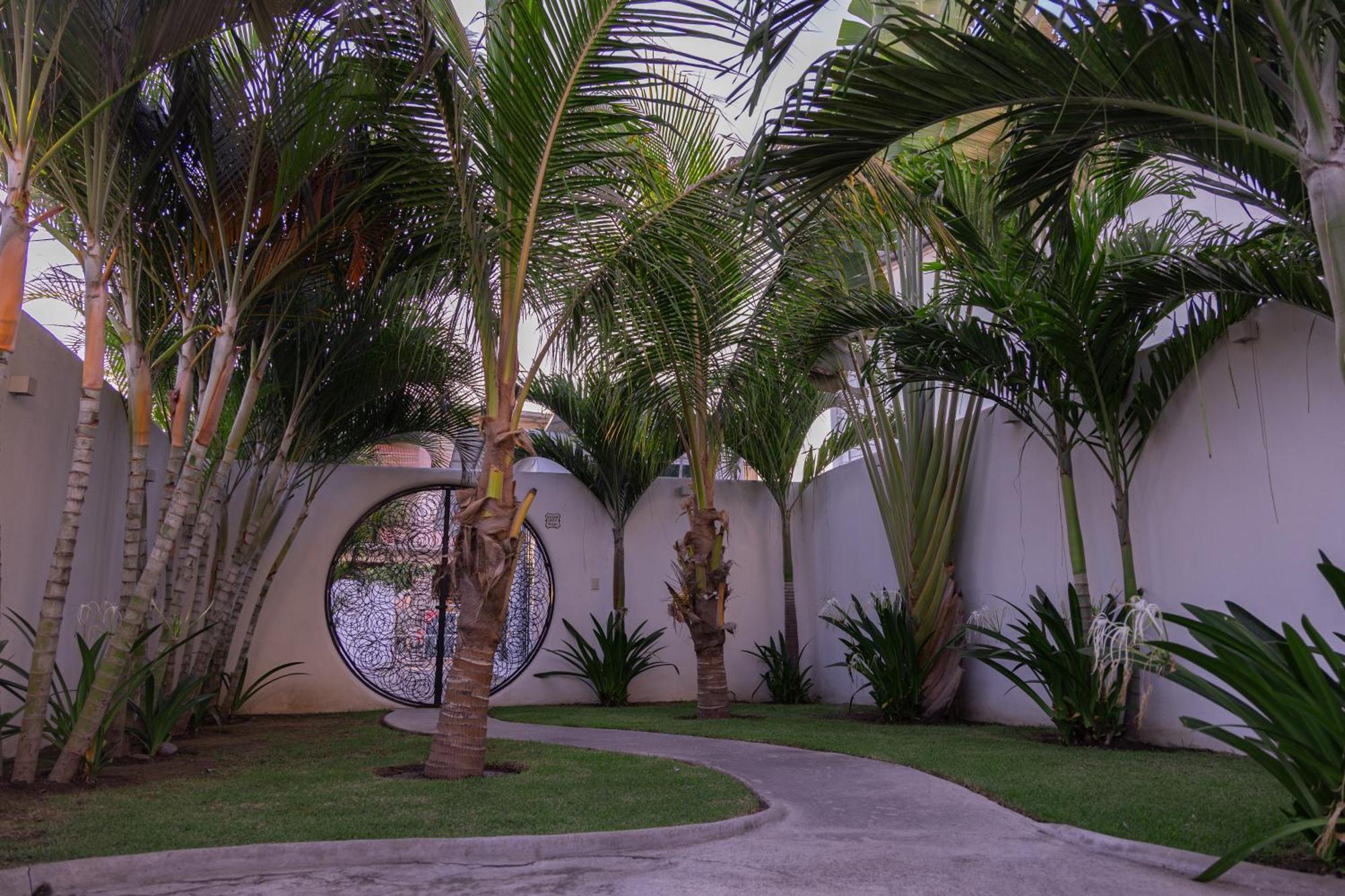 El Sho - Hotel Organico Bucerias Ngoại thất bức ảnh