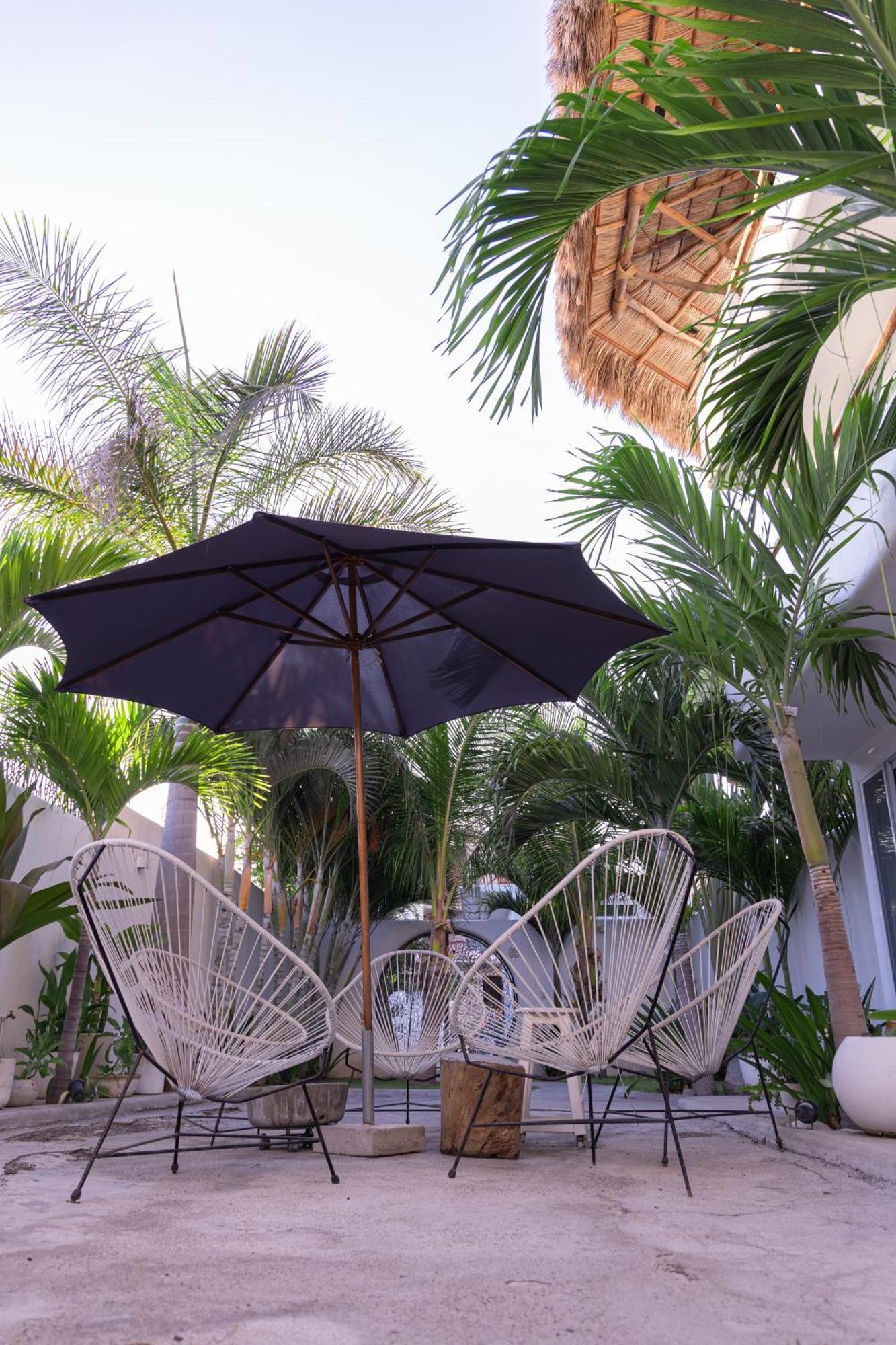 El Sho - Hotel Organico Bucerias Ngoại thất bức ảnh